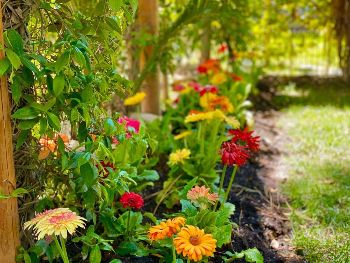 Beach Garden Paradise Durrës 외부 사진